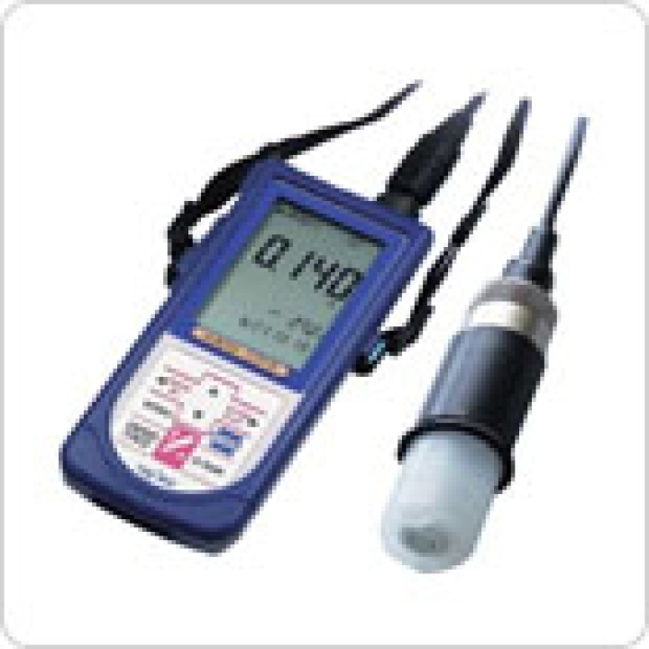 Ion analyzer